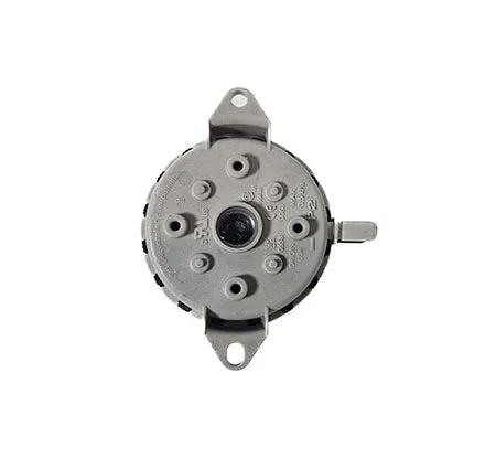 Pentair Air Pressure Switch 475987