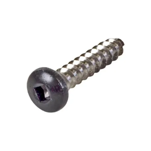 Pentair Button Head Torax Screw 474197