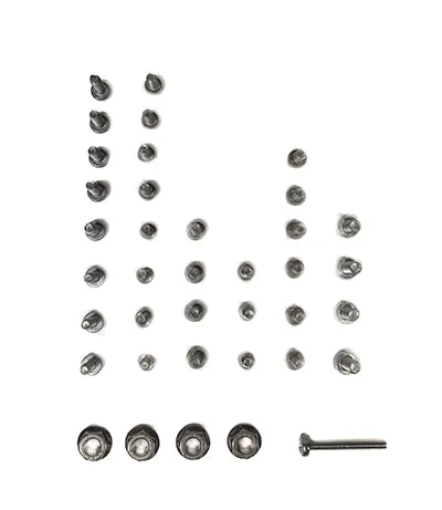 Pentair Heat Exchanger Screws 475606