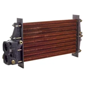 Raypak Copper Heat Exchanger 010054F